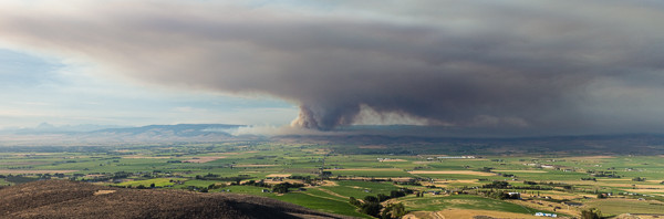 Every year we get the same scam